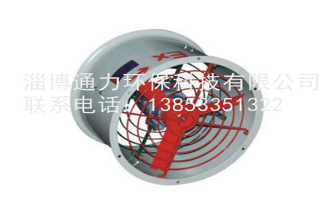 BT35防爆軸流風(fēng)機(jī)